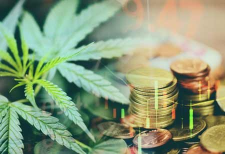 How Medical Marijuana Can be a Practical Treatment for Diabetes?